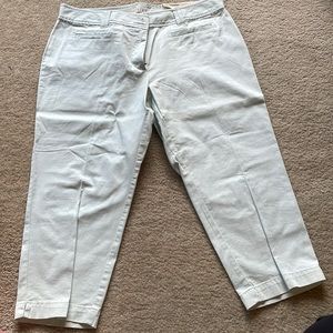 Loft Julie Cropped Mint Green Capri Pants Petite Size 12